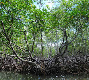 Nationalpark Los Haitises