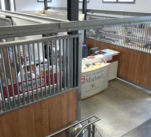 Haupt- und Landgestüt Marbach