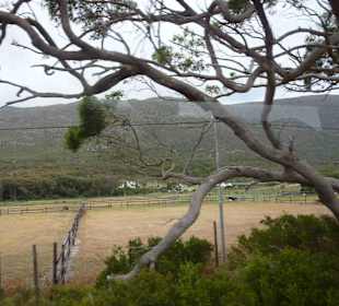 Kap der Guten Hoffnung