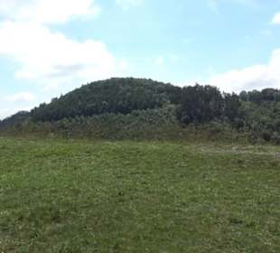 Burgruine Niederhaus