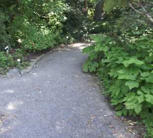 Botanischer Garten