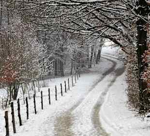 Der Wanderweg auf den Veitsberg