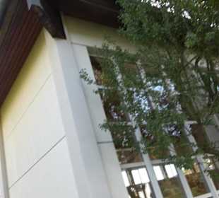 Föhrenberghalle Dottingen