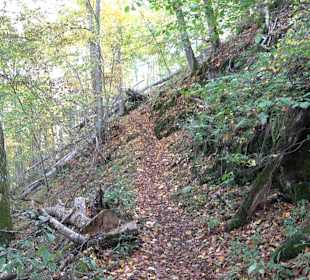 Wandertour "Rund um den Rossberg" Öschingen