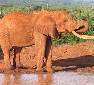 Geführte Touren Robert Safaris Adventure Galu Beach