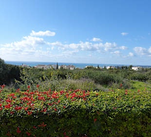 Ausflug in das Troodos Gebirge