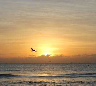 Sonnenaufgang über Cozumel - mystisch