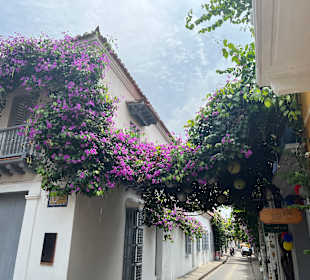 Altstadt Cartagena