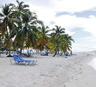 Bacardi Insel - Samána - Dominikanische Republik - DomRep Li