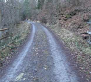 Wanderung rund um den Ochsenweiher