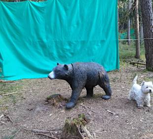 Für die Bogenschützen