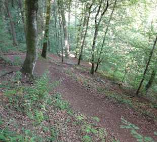 Wanderweg Wutachschlucht