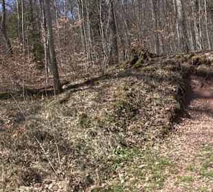 Geologischer Lehrpfad Kirnbachtal