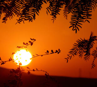 Sonnenuntergang: Ben-Gurion’s Tomb National Park