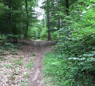 Wanderweg - Alter Steinbruch Pfaffenberg Runde