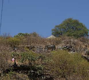 Blick hinauf zur Plattform