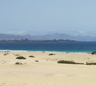 Dünenlandschaft bei Corralejo