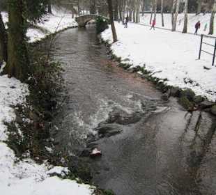 Altstadt Wissembourg im Winter