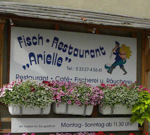 Fischrestaurant Arielle in Werder (Havel)