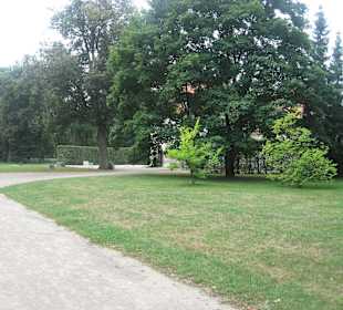 Park przy Pałacu w Nieborowie