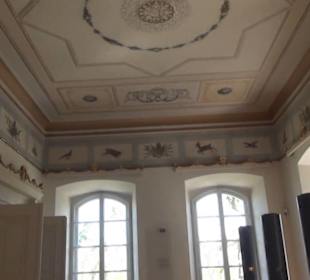 Konventstock - Museum