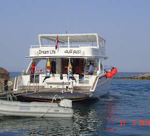 Mohameds Boot zur Delfintour
