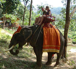 Elephant Trekking