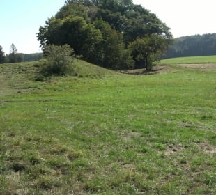 Elsachstadt Tor F Burrenhof Erkenbrechtsweiler