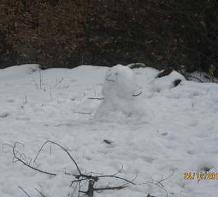 Schneemann