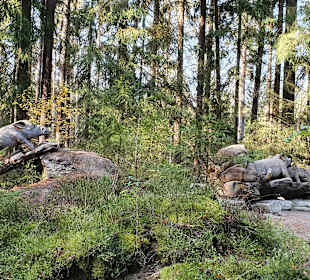 Wandern Mähring