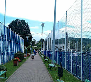 Complexul De Agrement Şi Sport Mureşul 