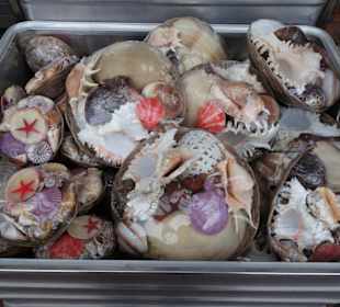 Impressionen vom Schaufenster Fischereihafen