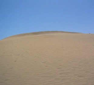Dünen in Maspalomas bei Meloneras