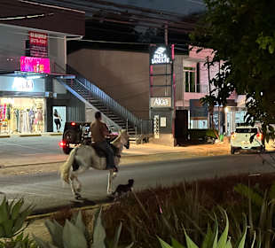 Stadtrundgang Santa Ana