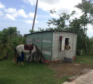 Ausritt in die Berge