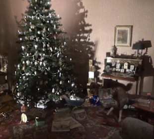 Salzburger Weihnachtsmuseum