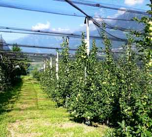 Eine Runde um die Plantagen