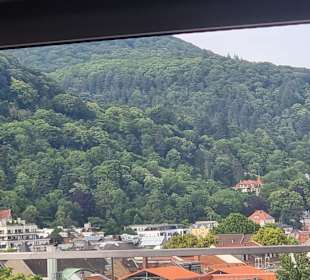 Heidelberg mehr links gesehen