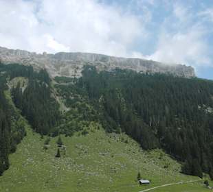 Wanderung mit Charly am Söllereck August 2015