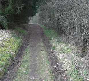 Unterjesinger Wengertwegle