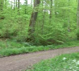 Naturpark Schönbuch