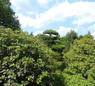 Parkanlage Planten un Blomen