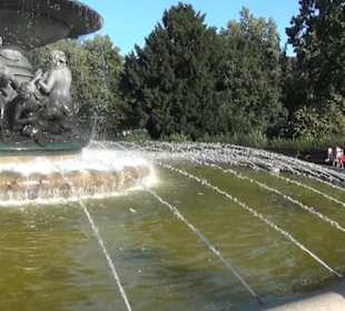 Neustadt - Brunnen stille Wasser