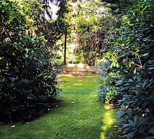 Кладбище Ольсдорф, Гамбург, 16 сентября 2013 года