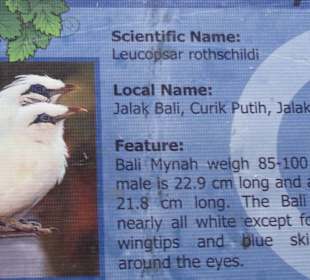 В зоопарке Бали