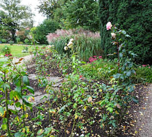 Eindrücke aus dem herbstlichen Rosengarten