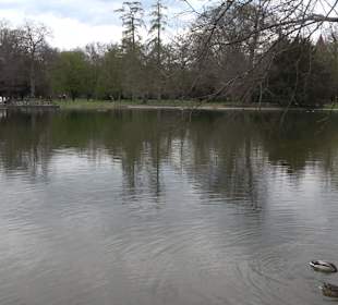 Schlossgarten Karlsruhe
