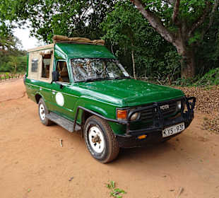 Auf dem Weg nach Shimba Hills