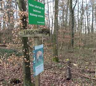Gomaringer Rundweg - Zu den Giganten im Wald