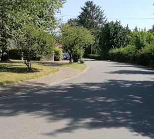 Skulptur "Eichenläubin" Gudrun Krüger